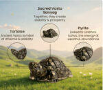 Siddh Pyrite Tortoise - Image 3